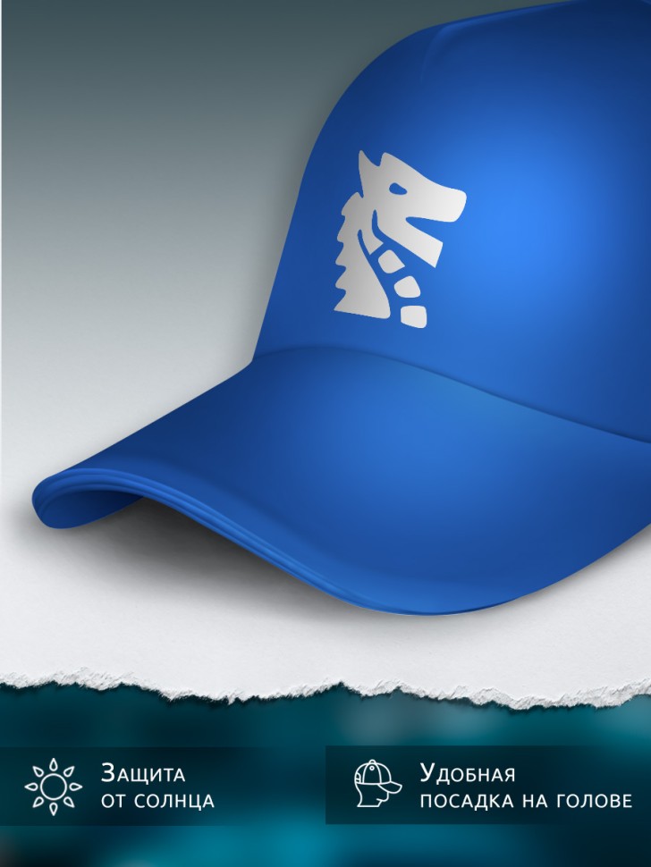 Бейсболка кепка синяя унисекс с принтом Дракон Бейсболка кепка синяя унисекс с принтом Дракон