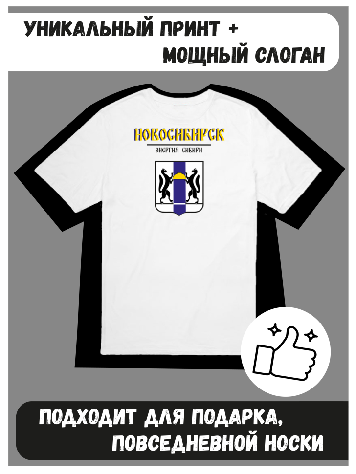 Футболка оверсайз с гербом Новосибирск 1