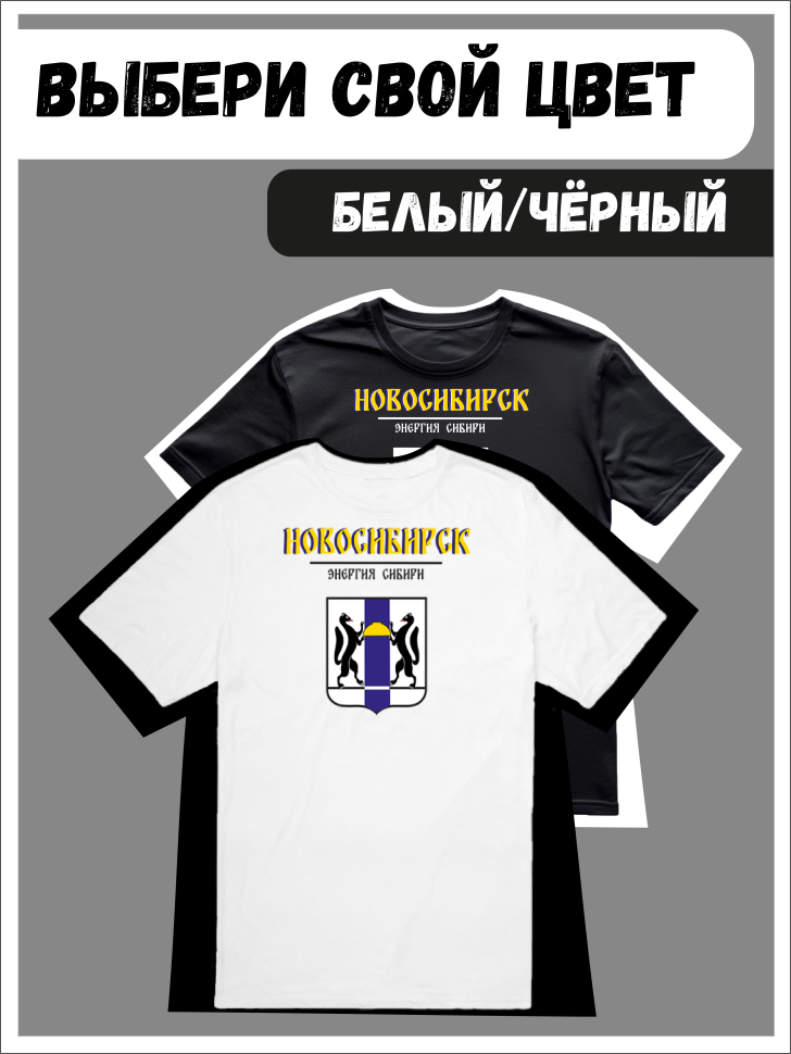 Футболка оверсайз с гербом Новосибирск 2