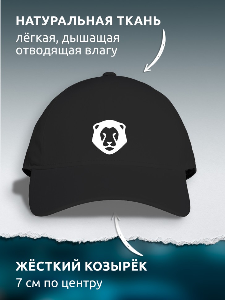 Бейсболка кепка черная унисекс с принтом Лев Бейсболка кепка черная унисекс с принтом Лев