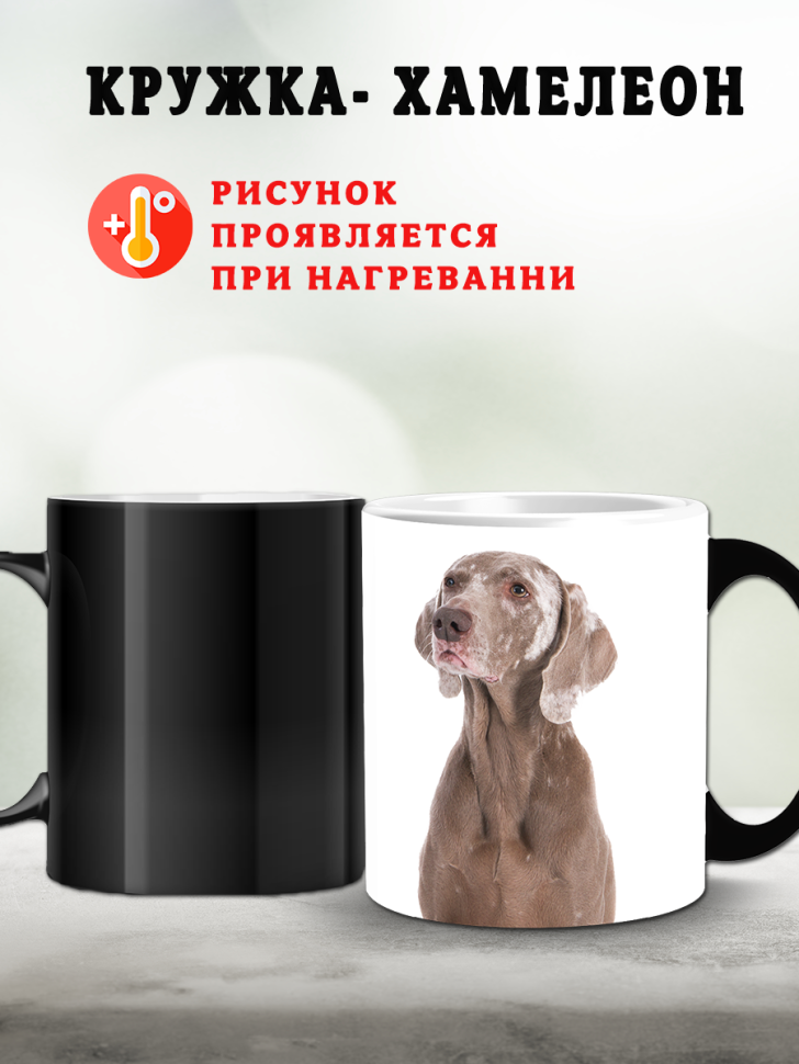 Кружка хамелеон керамическая для чая с принтом веймаранер