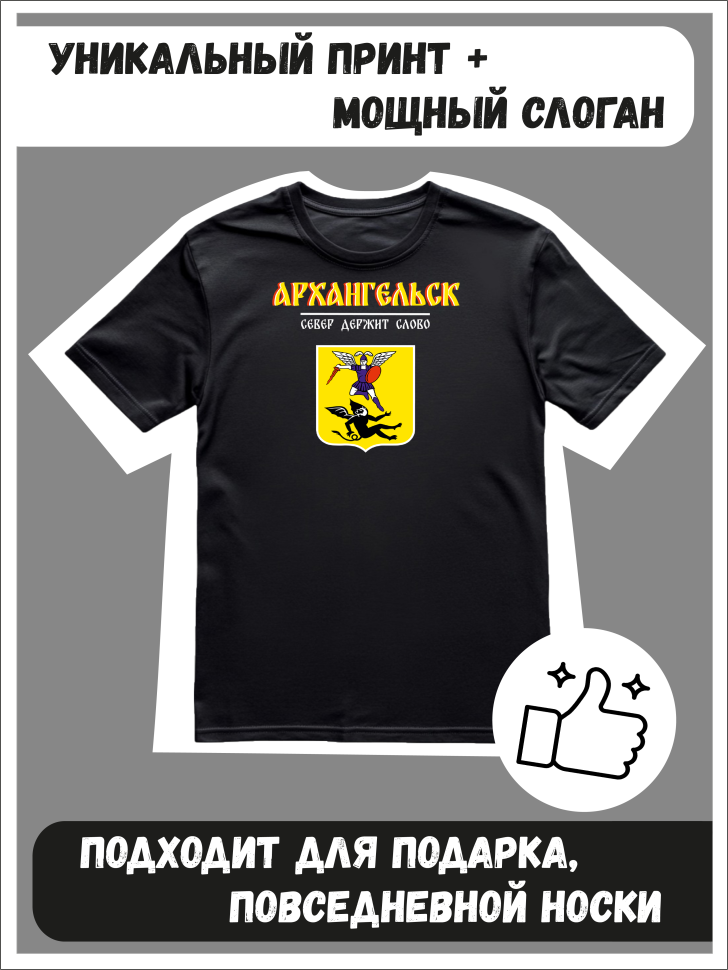 Футболка оверсайз с гербом Архангельск 2