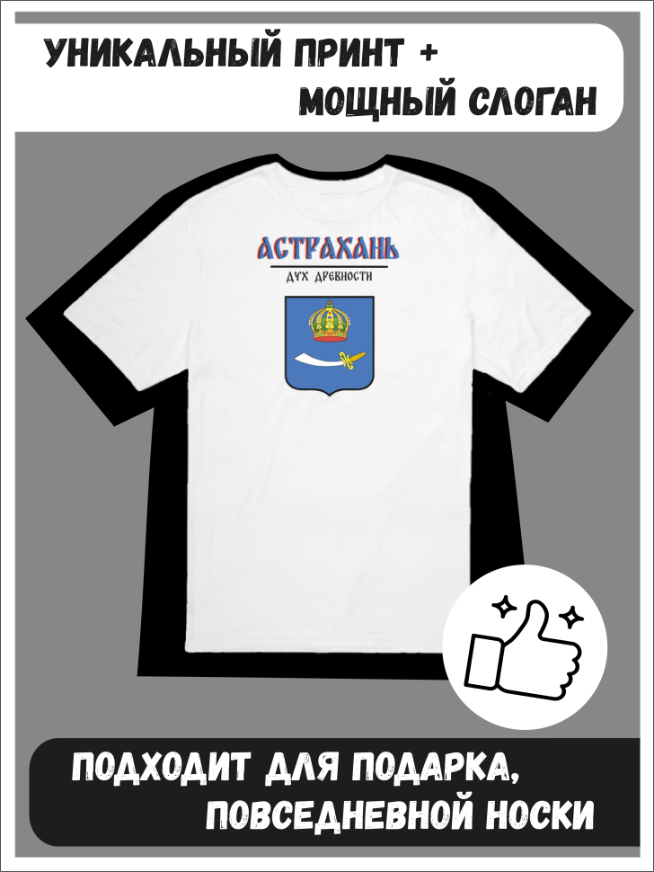 Футболка оверсайз с гербом Астрахань 1