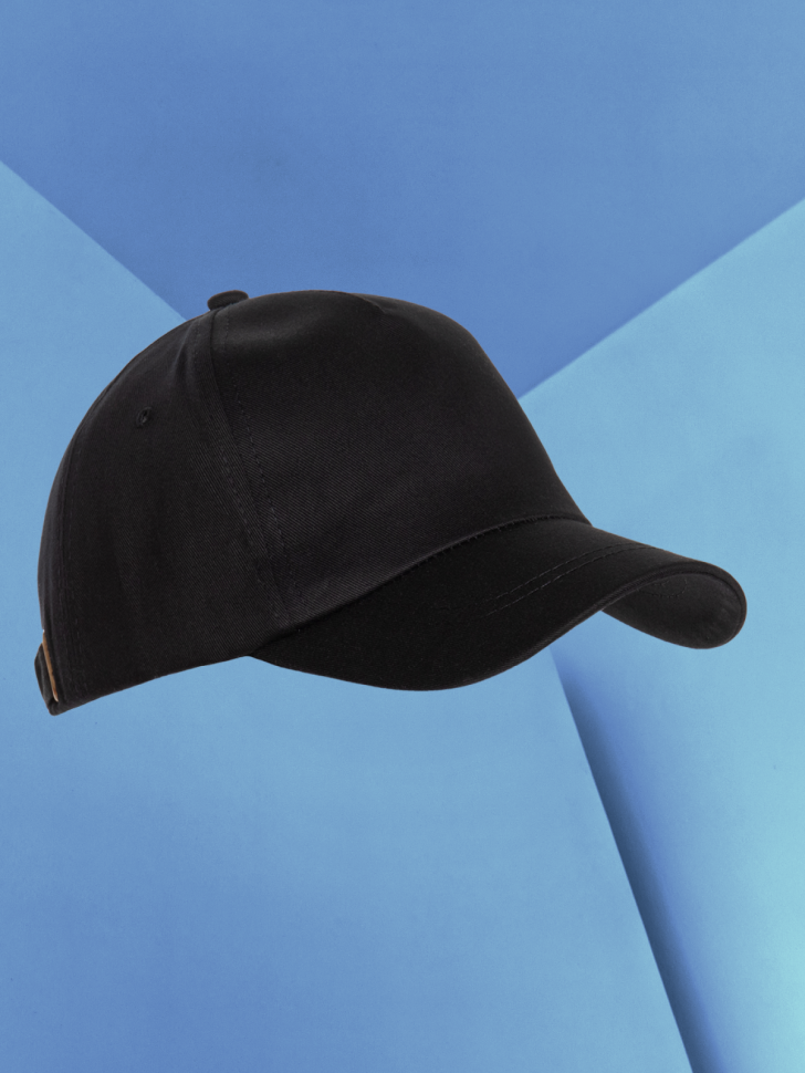 Бейсболка кепка черная лебедь onesize Бейсболка кепка черная лебедь onesize