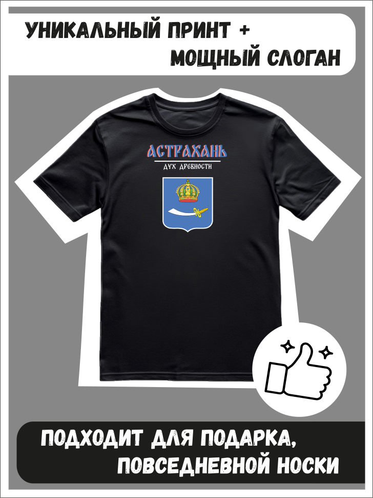 Футболка оверсайз с гербом Астрахань 2
