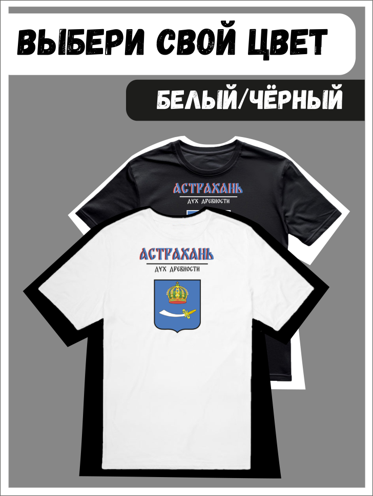 Футболка оверсайз с гербом Астрахань 2