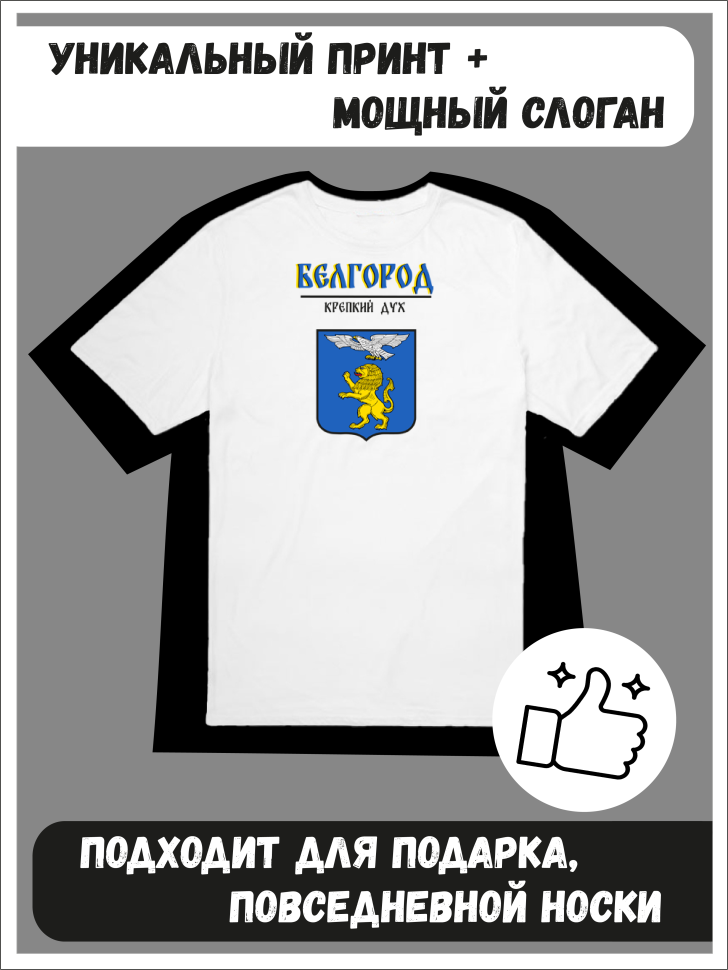 Футболка оверсайз с гербом Белгород 1
