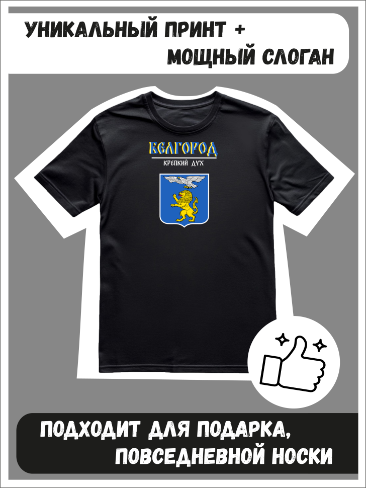 Футболка оверсайз с гербом Белгород 2