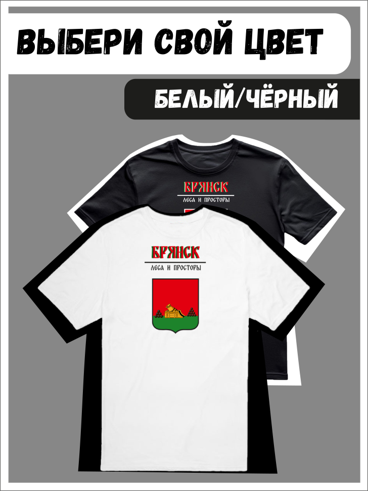 Футболка оверсайз с гербом Брянск 1