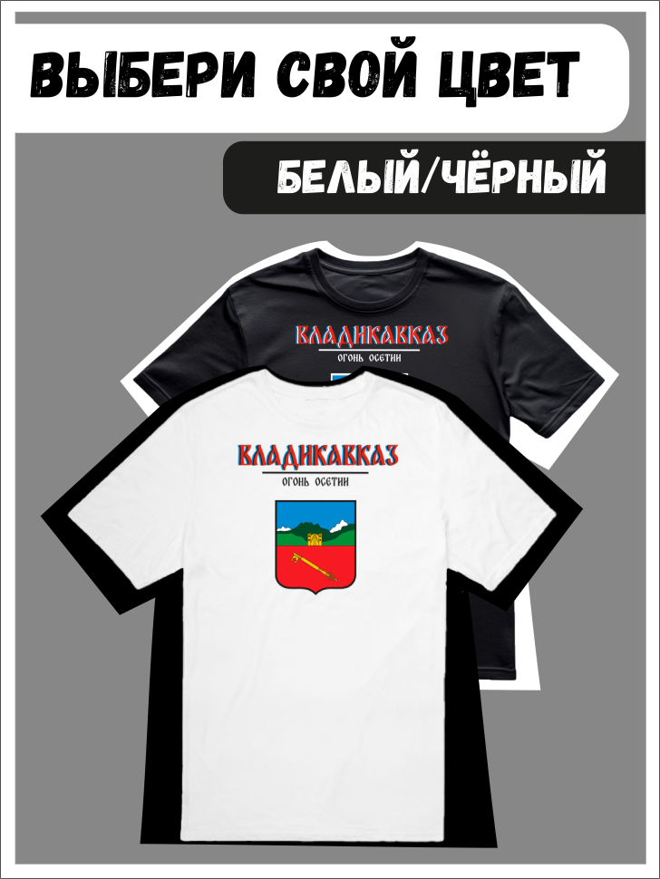 Футболка оверсайз с гербом Владикавказ 1