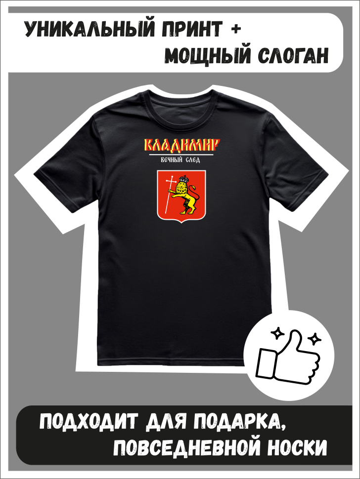 Футболка оверсайз с гербом Владимир 2