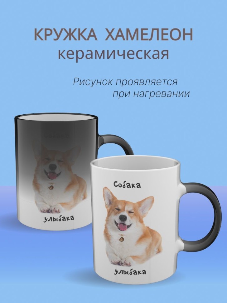 Кружка хамелеон керамическая большая для чая с принтом