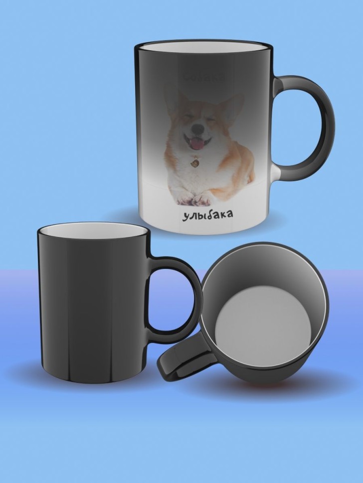 Кружка хамелеон керамическая большая для чая с принтом