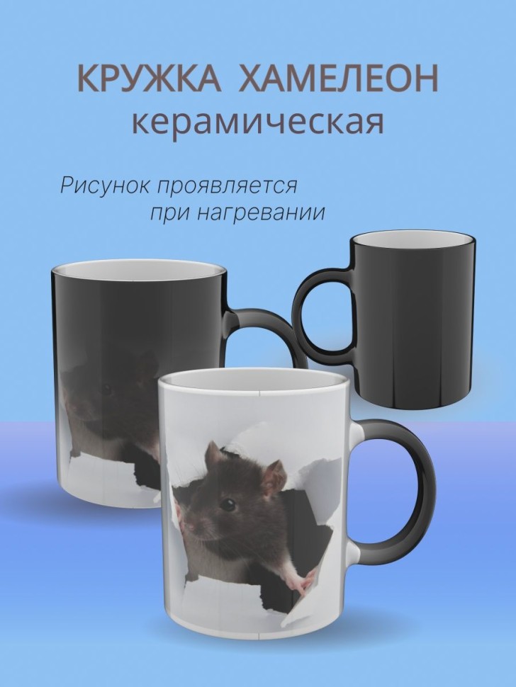 Кружка хамелеон керамическая в подарок, с принтом Крыска