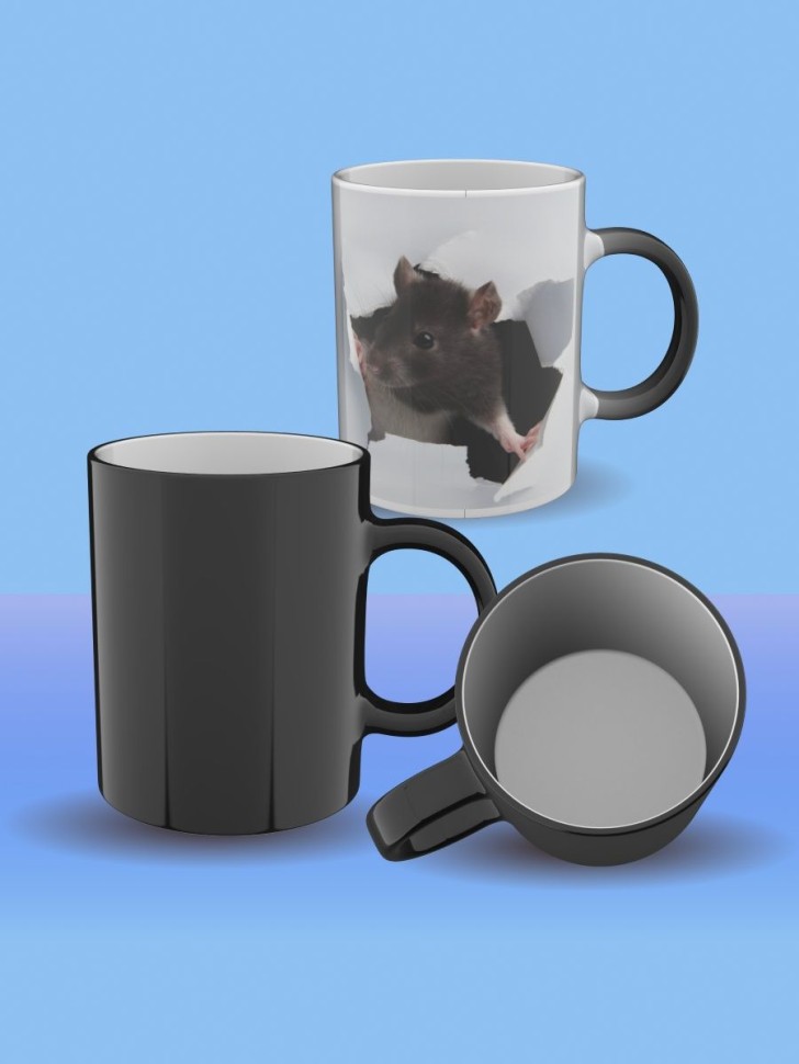 Кружка хамелеон керамическая в подарок, с принтом Крыска