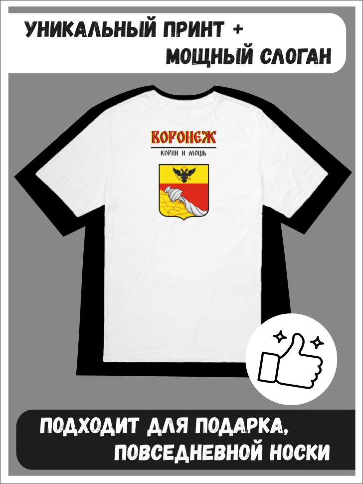 Футболка оверсайз с гербом Воронеж 1