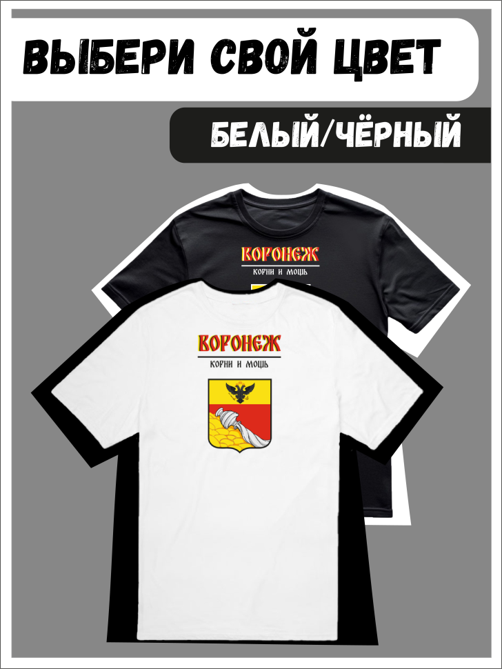 Футболка оверсайз с гербом Воронеж 1