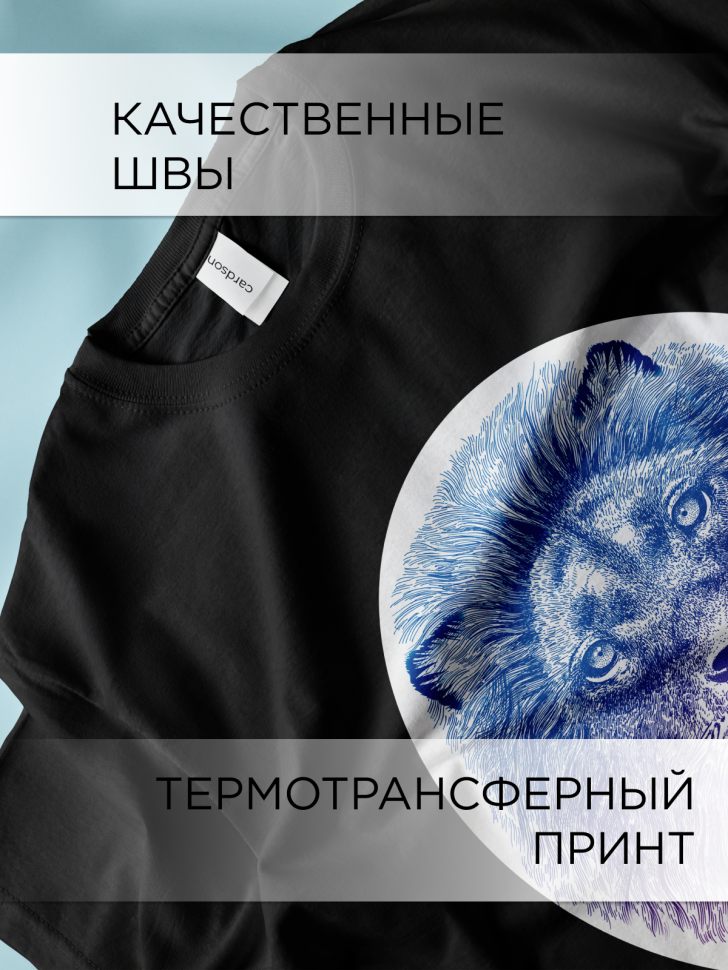 Футболка оверсайз универсальная с принтом Лев Овал