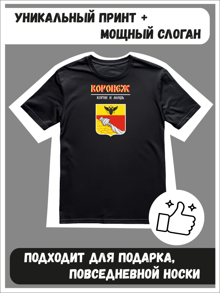 Футболка оверсайз с гербом Воронеж 2