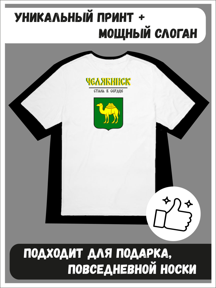 Футболка оверсайз с гербом Челябинск 1