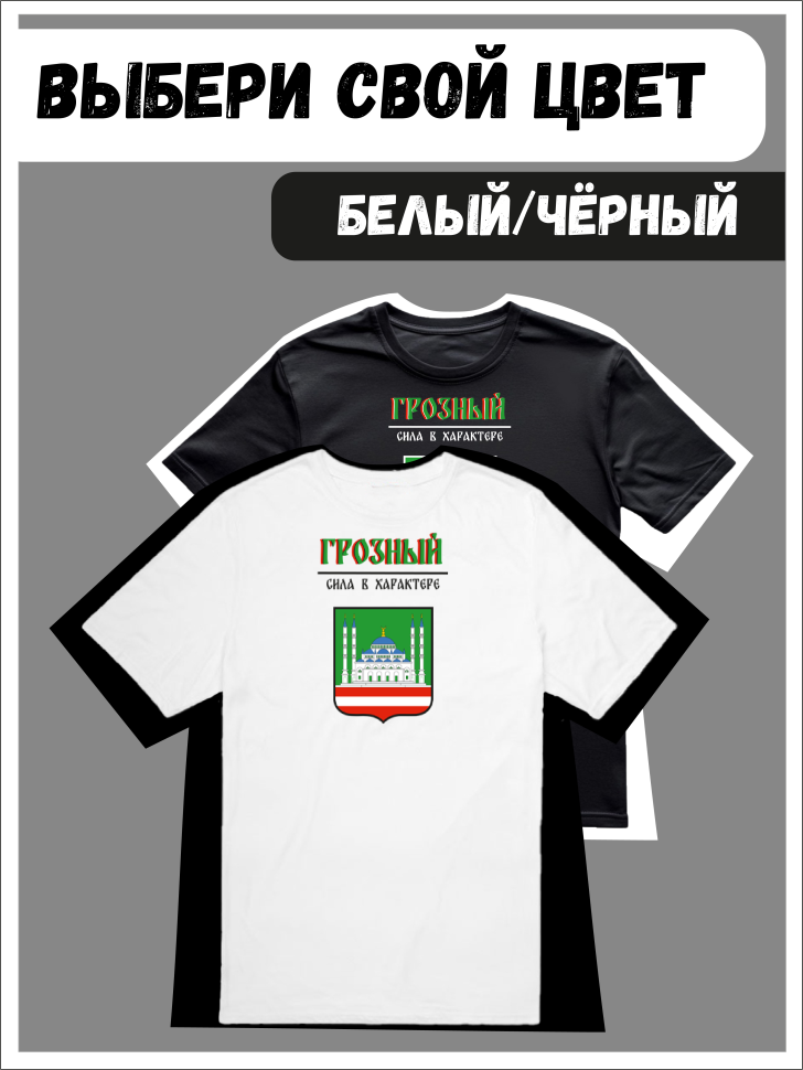 Футболка оверсайз с гербом Грозный 2