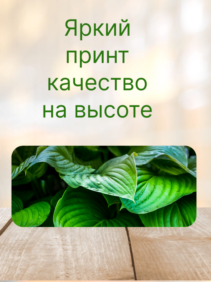 Кружка керамическая с ярким принтом хосты