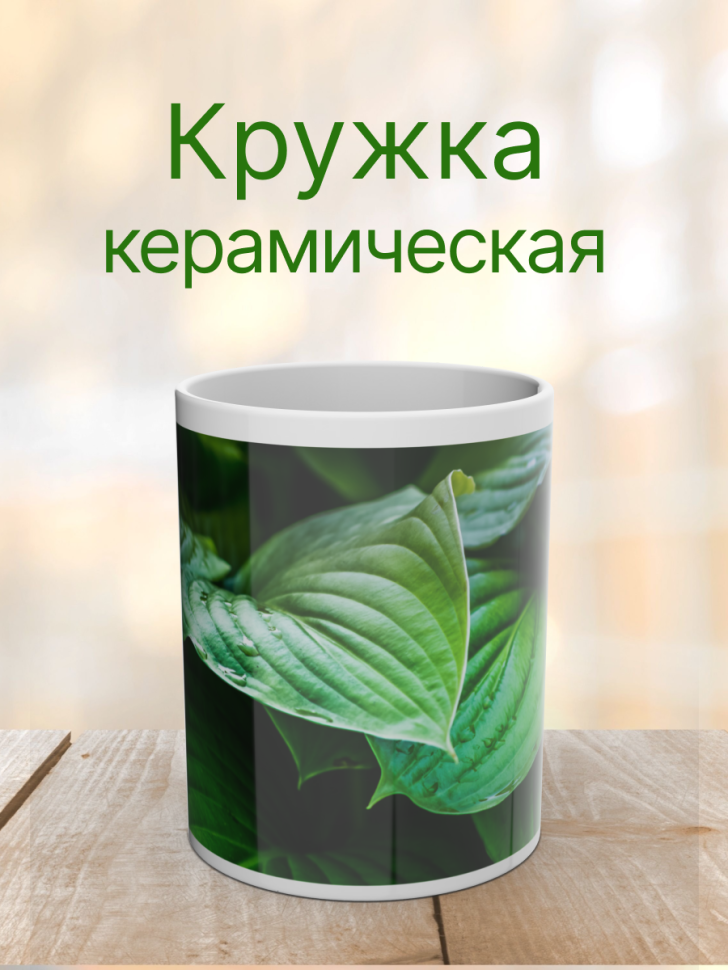 Кружка керамическая с ярким принтом хосты