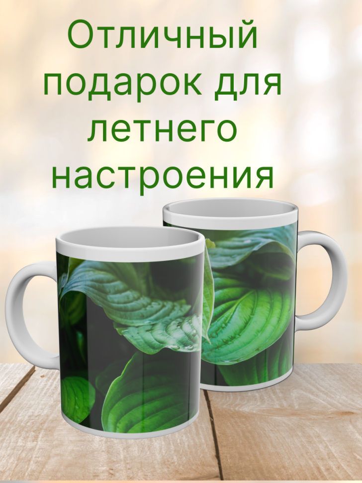 Кружка керамическая с ярким принтом хосты