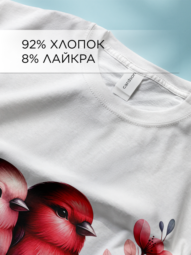 Футболка оверсайз с принтом Пара птичек