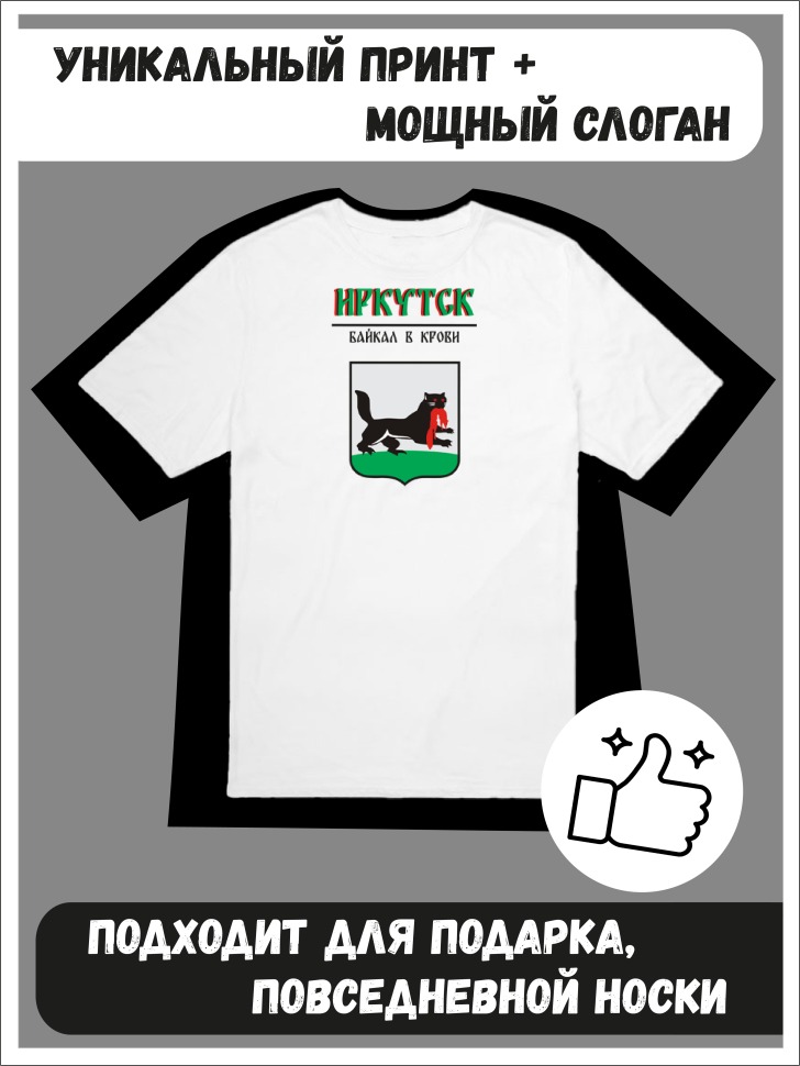 Футболка оверсайз с гербом Иркутск 1