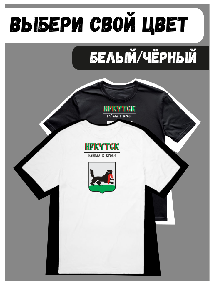 Футболка оверсайз с гербом Иркутск 1